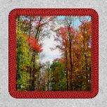 Fall Trees and Blue Sky Autumn Nature Photography Patch