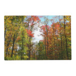 Fall Trees and Blue Sky Autumn Nature Photography Placemat