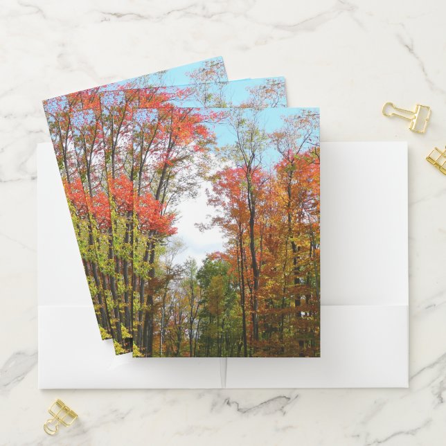 Fall Trees and Blue Sky Autumn Nature Photography Pocket Folder (In Situ)