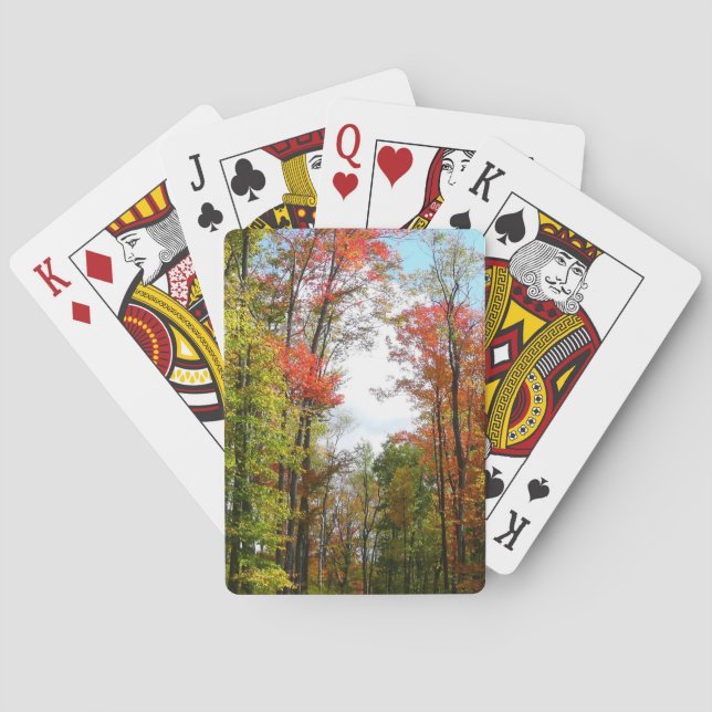 Fall Trees and Blue Sky Autumn Nature Photography Poker Cards (Back)