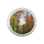 Fall Trees and Blue Sky Autumn Nature Photography Ring
