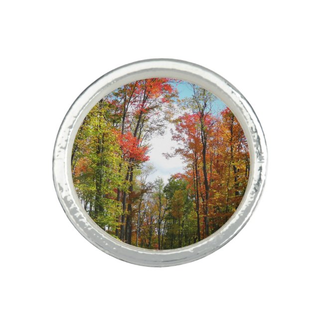 Fall Trees and Blue Sky Autumn Nature Photography Ring (Front)