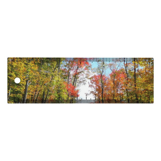 Fall Trees and Blue Sky Autumn Nature Photography Ruler (Front)