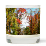 Fall Trees and Blue Sky Autumn Nature Photography Scented Candle