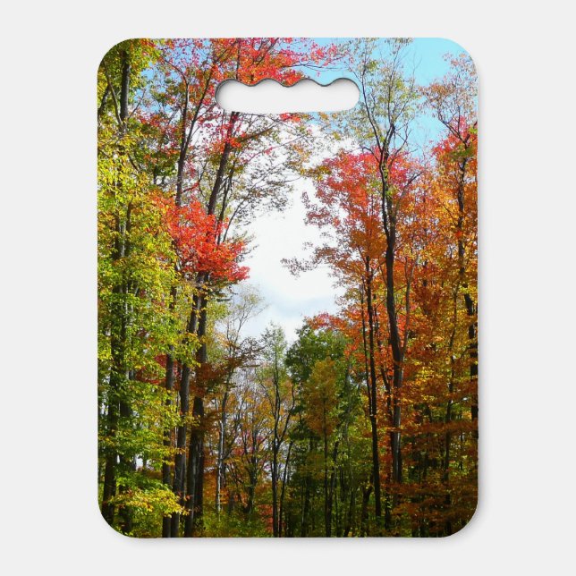 Fall Trees and Blue Sky Autumn Nature Photography Seat Cushion (Front Vertical)