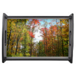 Fall Trees and Blue Sky Autumn Nature Photography Serving Tray
