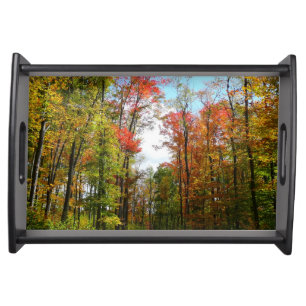 Fall Trees and Blue Sky Autumn Nature Photography Serving Tray