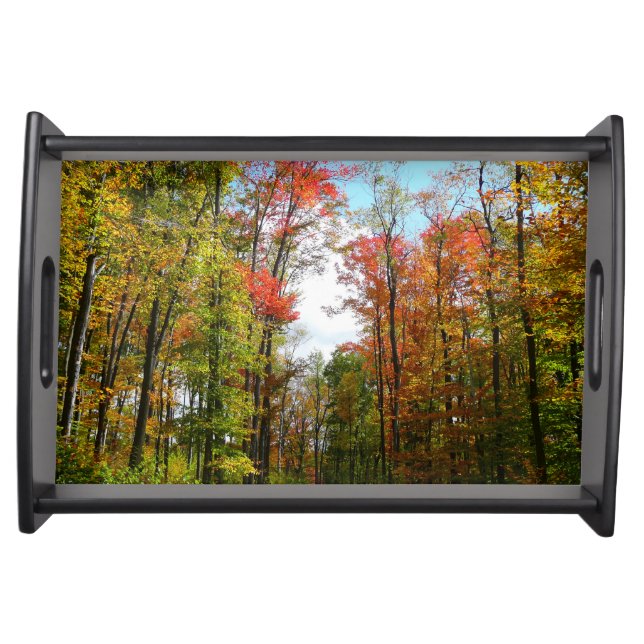 Fall Trees and Blue Sky Autumn Nature Photography Serving Tray (Front)