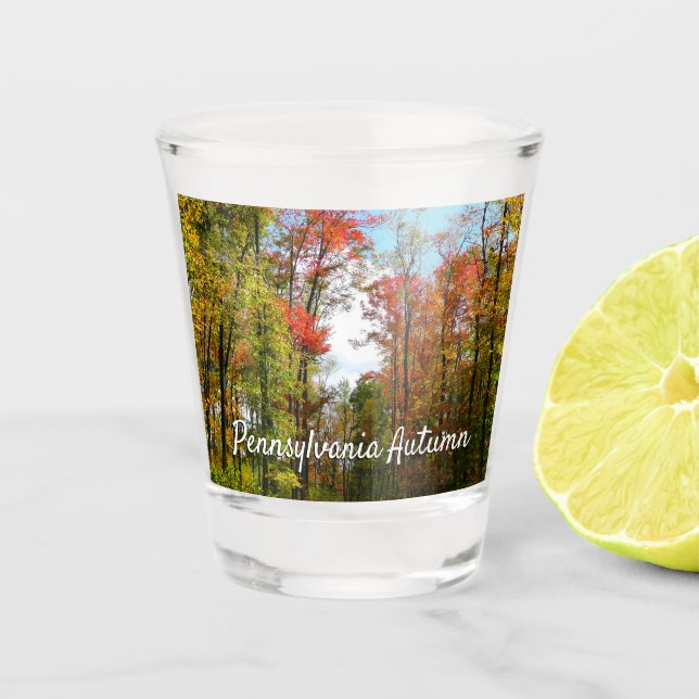 Fall Trees and Blue Sky Autumn Nature Photography Shot Glass (Front)