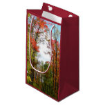 Fall Trees and Blue Sky Autumn Nature Photography Small Gift Bag