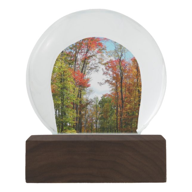 Fall Trees and Blue Sky Autumn Nature Photography Snow Globe (Front)