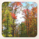 Fall Trees and Blue Sky Autumn Nature Photography Square Paper Coaster