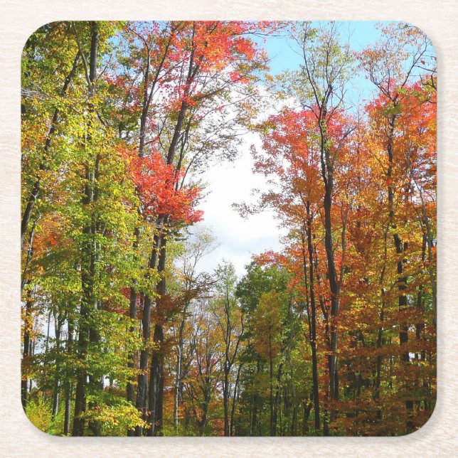 Fall Trees and Blue Sky Autumn Nature Photography Square Paper Coaster (Front)
