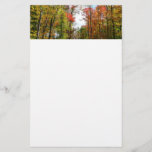 Fall Trees and Blue Sky Autumn Nature Photography Stationery
