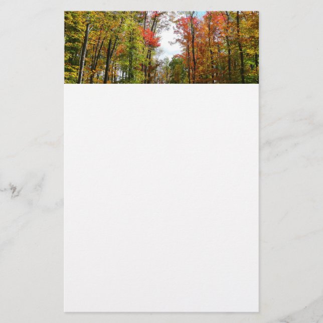 Fall Trees and Blue Sky Autumn Nature Photography Stationery (Front)