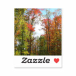 Fall Trees and Blue Sky Autumn Nature Photography Sticker