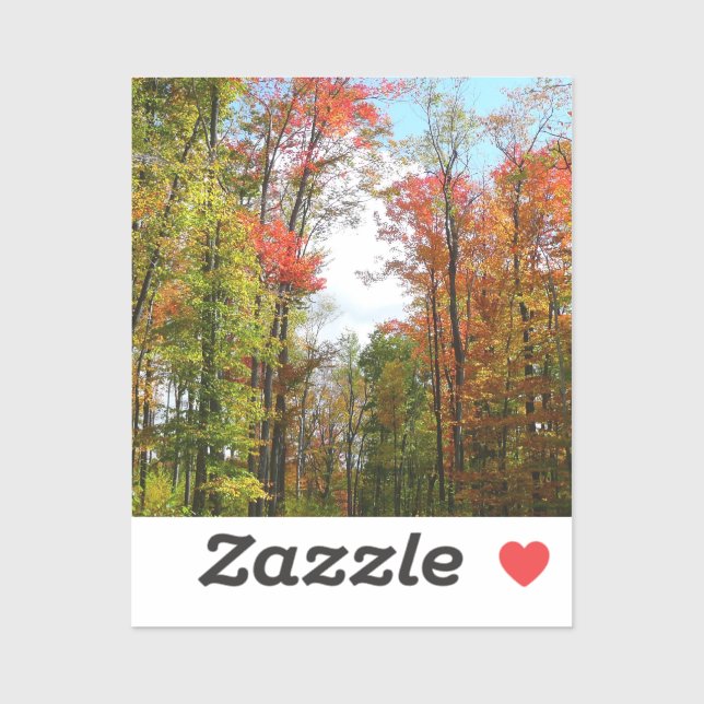 Fall Trees and Blue Sky Autumn Nature Photography Sticker (Sheet)