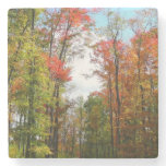 Fall Trees and Blue Sky Autumn Nature Photography Stone Coaster