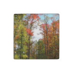 Fall Trees and Blue Sky Autumn Nature Photography Stone Magnet