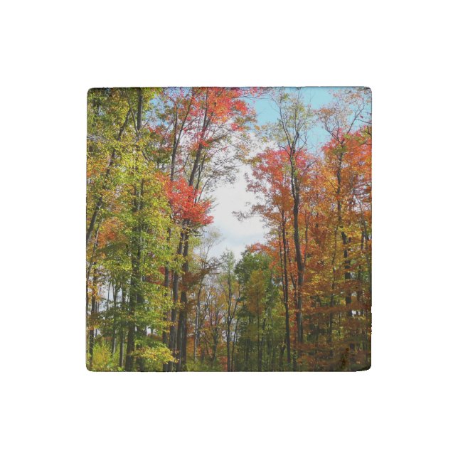 Fall Trees and Blue Sky Autumn Nature Photography Stone Magnet (Front)
