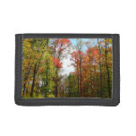 Fall Trees and Blue Sky Autumn Nature Photography Trifold Wallet