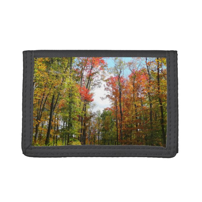 Fall Trees and Blue Sky Autumn Nature Photography Trifold Wallet (Front)