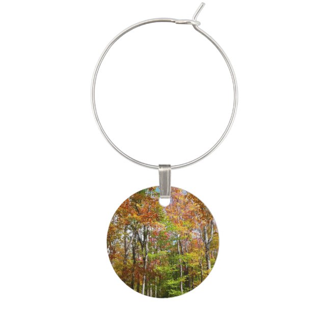 Fall Trees and Blue Sky Autumn Nature Photography Wine Charm (Front)