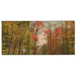 Fall Trees and Blue Sky Autumn Nature Photography Wood Flash Drive