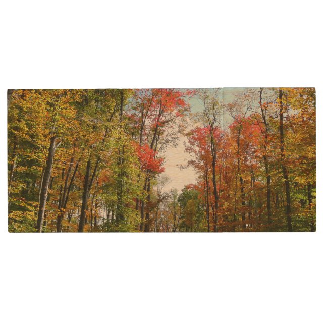 Fall Trees and Blue Sky Autumn Nature Photography Wood Flash Drive (Front)