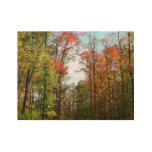 Fall Trees and Blue Sky Autumn Nature Photography Wood Poster