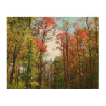Fall Trees and Blue Sky Autumn Nature Photography Wood Wall Art