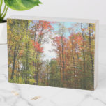 Fall Trees and Blue Sky Autumn Nature Photography Wooden Box Sign