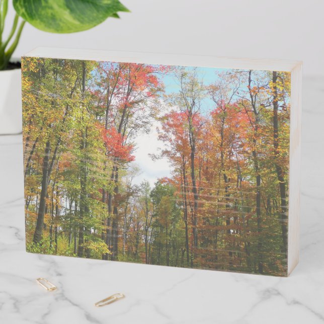 Fall Trees and Blue Sky Autumn Nature Photography Wooden Box Sign (In Situ Horizontal)