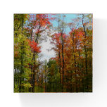 Fall Trees and Blue Sky Paperweight