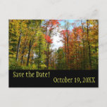 Fall Trees and Blue Sky Save the Date Postcard