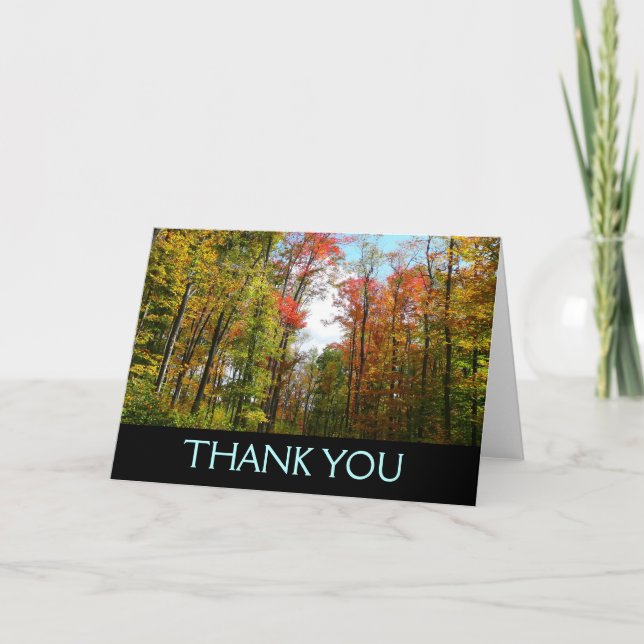 Fall Trees and Blue Sky Thank You Card (Blank Insi (Front)