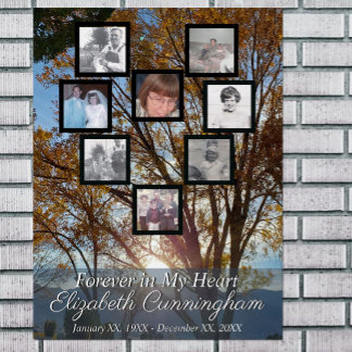 Fall Trees and Sunset Photo Collage Heart  Foam Board