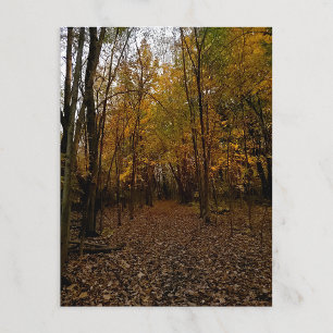 Fall Trees at Sunset Taylor Michigan Postcard
