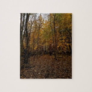 Fall Trees at Sunset Taylor Michigan Puzzle