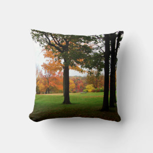 Fall Trees Autumn Niagara Falls State Park Throw Pillow