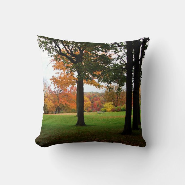 Fall Trees Autumn Niagara Falls State Park Throw Pillow (Front)