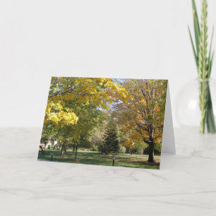 Fall Trees Seasonal Card
