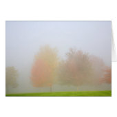 Fall trees shrouded in mist (Front Horizontal)