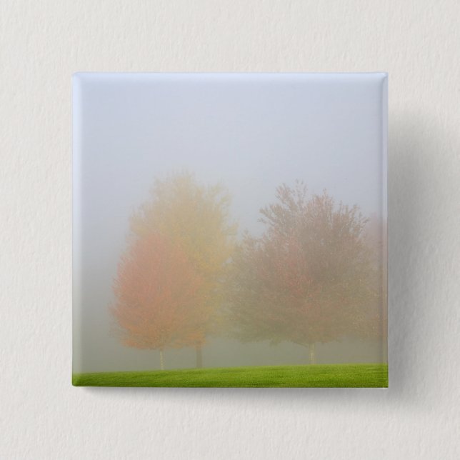 Fall trees shrouded in mist button (Front)