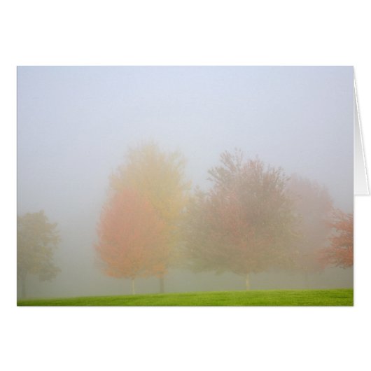 Fall trees shrouded in mist cards (Front Horizontal)