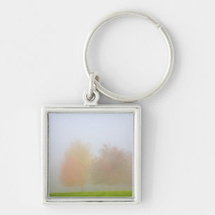 Fall trees shrouded in mist keychain