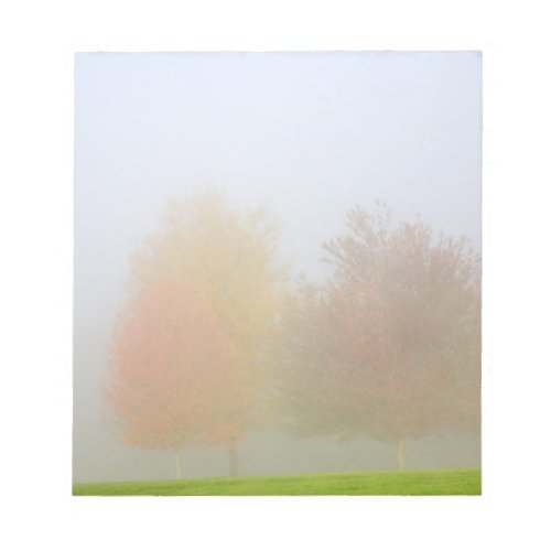Fall trees shrouded in mist notepad