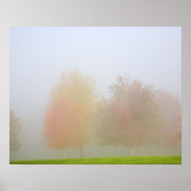 Fall trees shrouded in mist poster (Front)