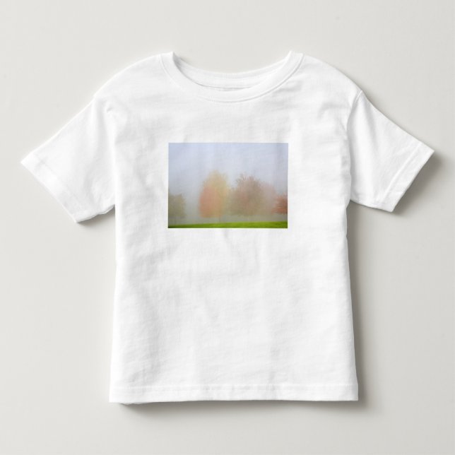 Fall trees shrouded in mist toddler t-shirt (Front)