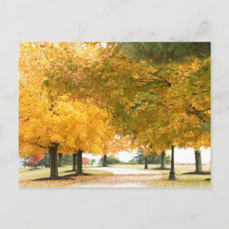 Fall walk postcard